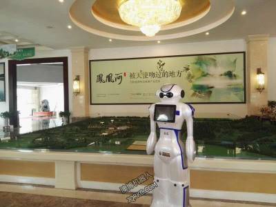 迎賓大白機器人走進(jìn)鳳凰河